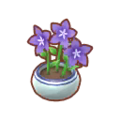 Purple Starflowers (Potted) PC Icon.png