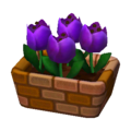 Purple Tulips NL Model.png