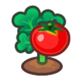 Ripe Tomato Plant NH Inv Icon.png