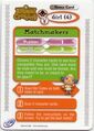 Animal Crossing-e 3-P08 (Girl (4) - Back).jpg