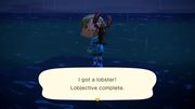 Caught Lobster NH.jpg