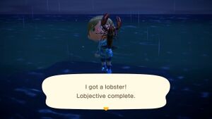 Caught Lobster NH.jpg