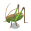 grasshopper model