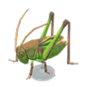 grasshopper model