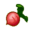 Red Turnip CF Icon 3.png