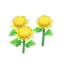 yellow-mum plant