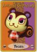 Pecan