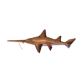 Saw Shark NL Model.png