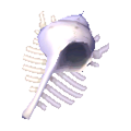 Thumbnail for version as of 01:04, November 3, 2025