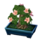 Azalea Bonsai NL Model.png