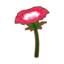 Giant Windflower PC Icon.png