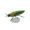 jewel beetle model
