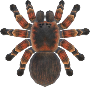 Tarantula NH.png