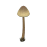 mush lamp
