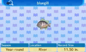 NL Encyclopedia Bluegill.png