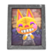 Tabby's Photo (Silver) NH Icon.png