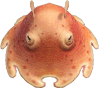 Scallop - Animal Crossing Wiki - Nookipedia