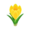 Yellow Crocuses PC Icon.png