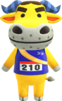 Coach NH.png