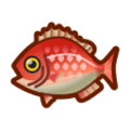 Red Snapper NH Icon.png