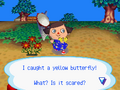 Caught Common Butterfly WW.png