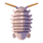 giant isopod