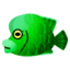 green Napoleonfish