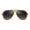 Pilot Shades (Gold) NH Icon.png