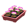 Potted Starter Plants (Pink) NH Icon.png
