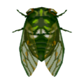 Robust Cicada CF Model.png