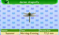 NL Encyclopedia Darner Dragonfly.png