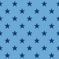 Polka-Dot Print - Fabric 12 NH Pattern.png