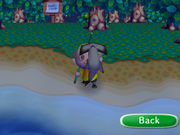 CF Showing Hammerhead Shark.png