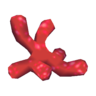 coral