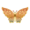Gold Zenfly PC Icon.png