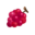 Perfect Grapes PC Icon.png