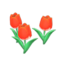 red-tulip plant