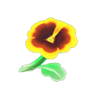 yellow pansies