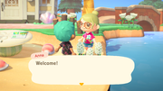 NH Dream Players Free Summer Update.png