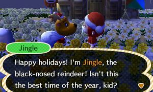 NL Jingle Introduction.jpg