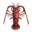 Spiny Lobster PC Icon.png