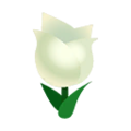 White Tulips PC Icon.png