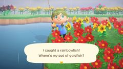 Rainbowfish/Gallery - Animal Crossing Wiki - Nookipedia