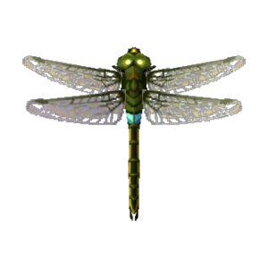 Darner Dragonfly NL Model.png