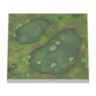 glowing-moss flooring