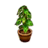 48px-Pothos_HHD_Icon.png