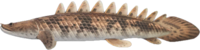 Artwork of Saddled bichir