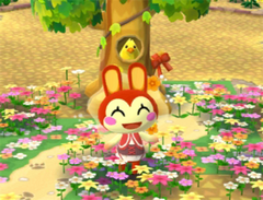 Little Red Riding Bunnie PC.png