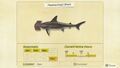 NH Critterpedia Hammerhead Shark Southern Hemisphere.jpg