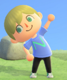 NH Player Work Out.png